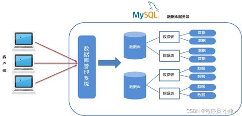 MySQL核心概念與IDEA連接實(shí)踐 從SQL語(yǔ)法分類(lèi)到數(shù)據(jù)庫(kù)設(shè)計(jì)規(guī)范