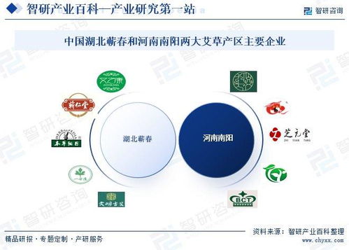 艾草行業(yè)市場(chǎng)動(dòng)態(tài)與投資前景分析 技術(shù)創(chuàng)新驅(qū)動(dòng)下的發(fā)展新機(jī)遇